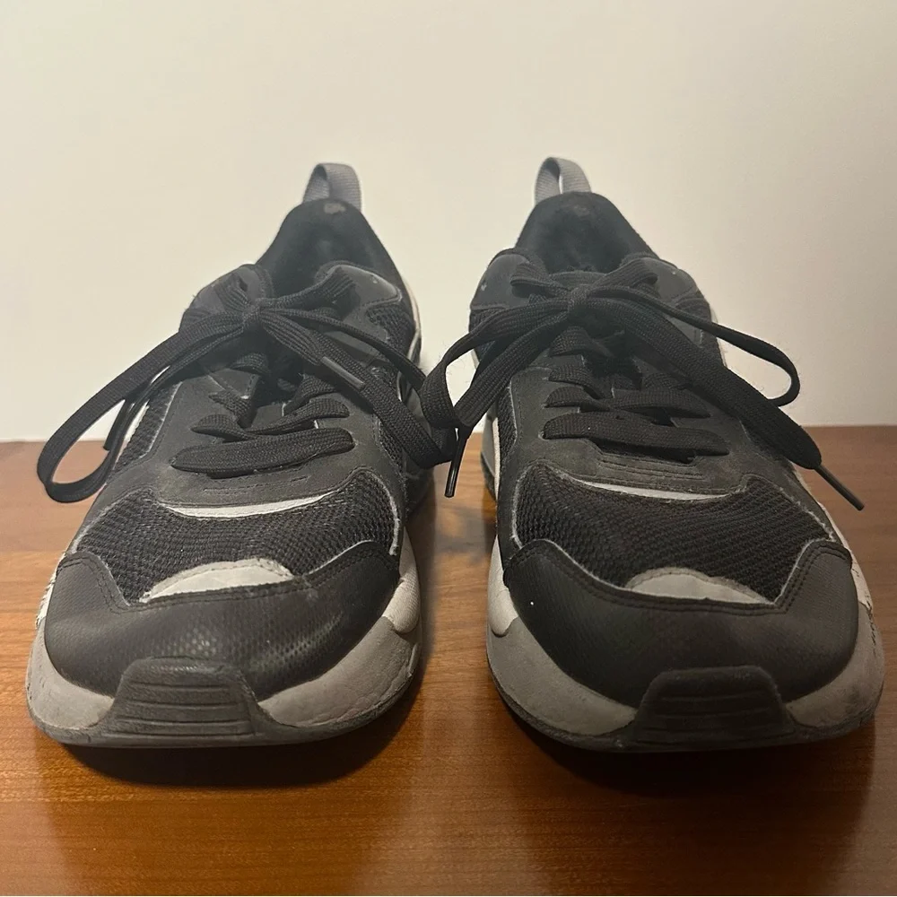 Puma pumax ray